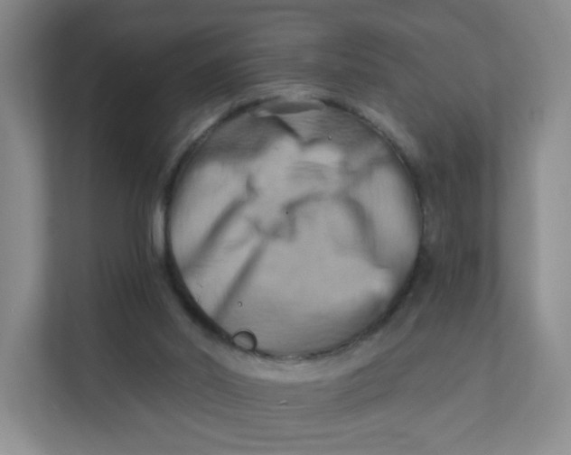 X0000111360014200907311022