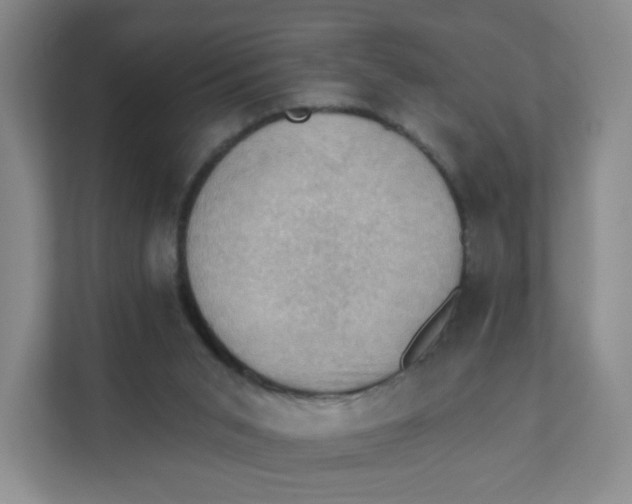 X0000111360015200907311022