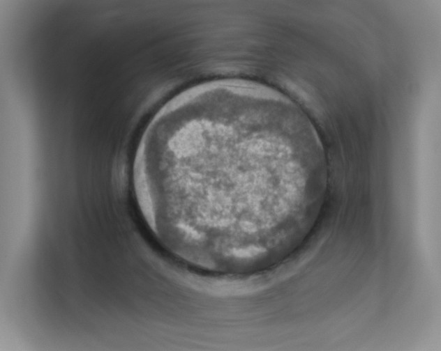 X0000111360016200907311022