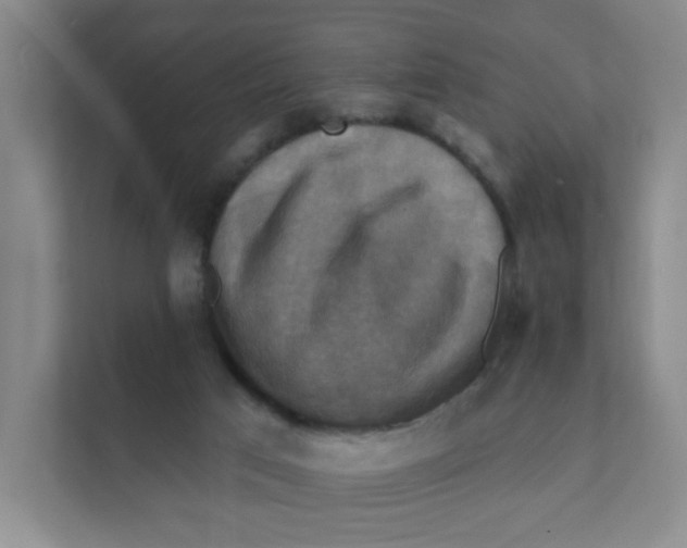 X0000111360017200907311022