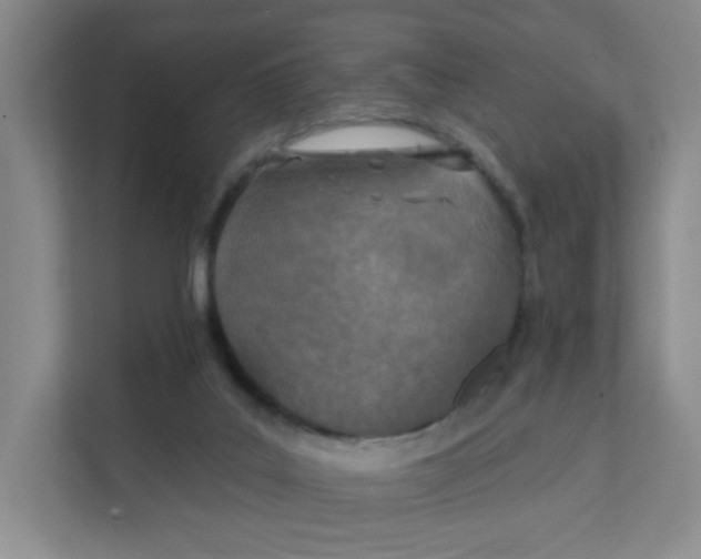 X0000111360019200907311022