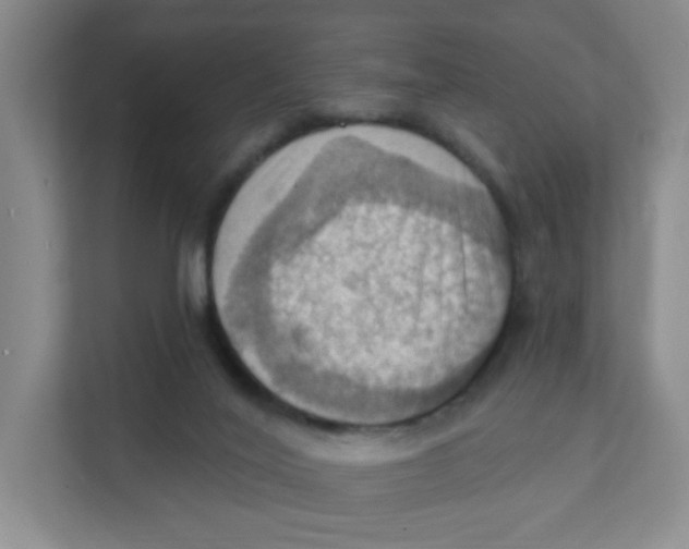 X0000111360020200907311022