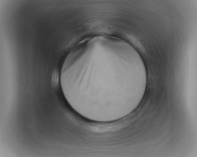 X0000111360021200907311022