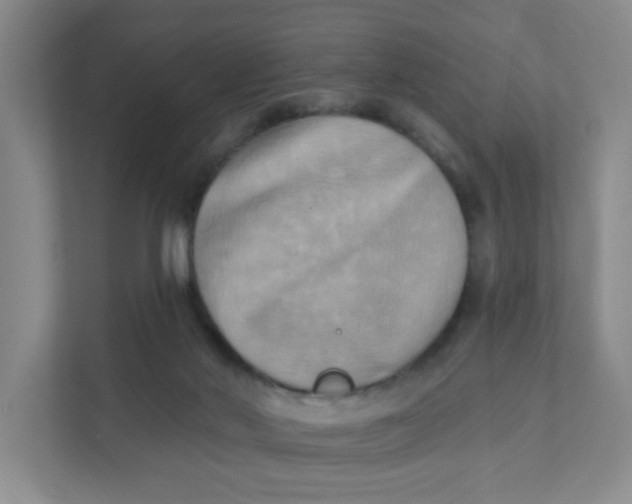 X0000111360022200907311022