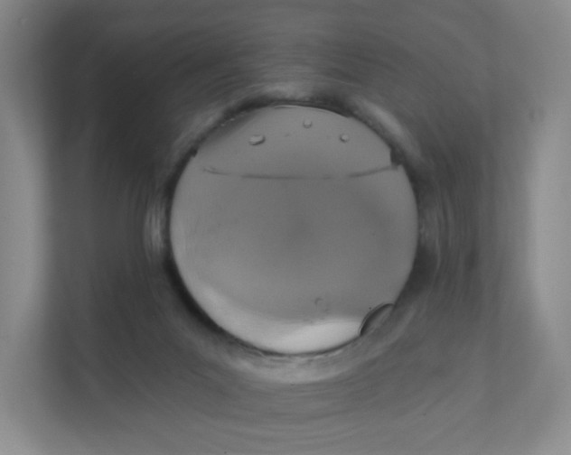 X0000111360023200907311022