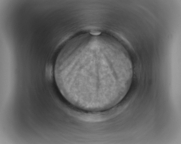 X0000111360024200907311022