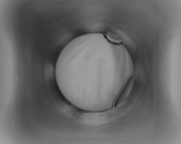 X0000111360025200907311022