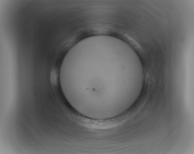 X0000111360026200907311022