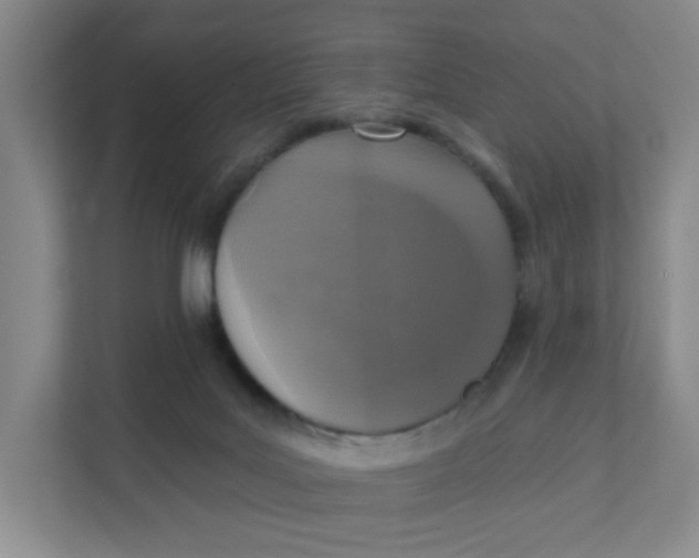 X0000111360027200907311022