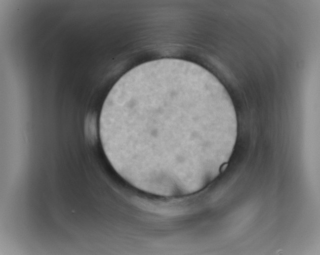 X0000111360028200907311022