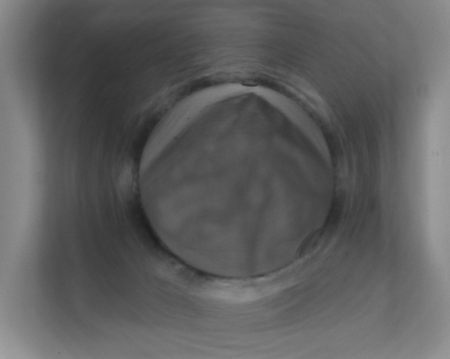 X0000111360029200907311022