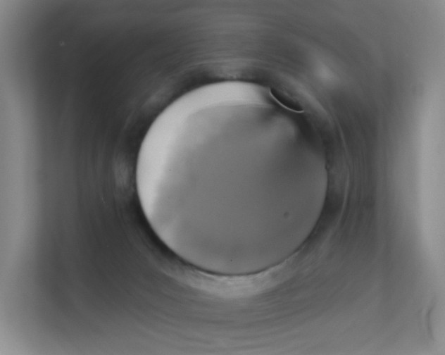 X0000111360031200907311022