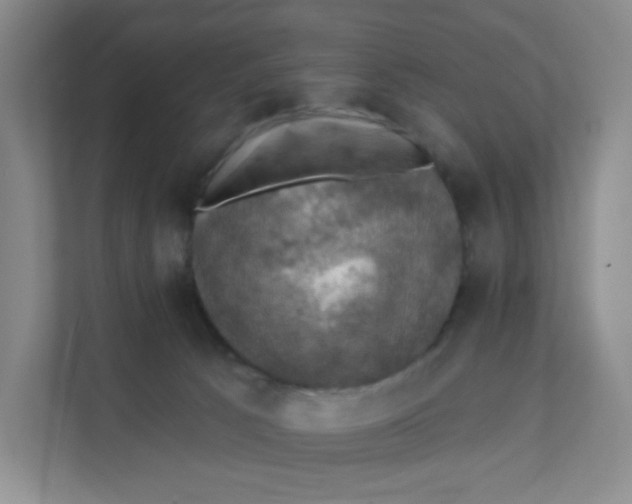 X0000111360033200907311022