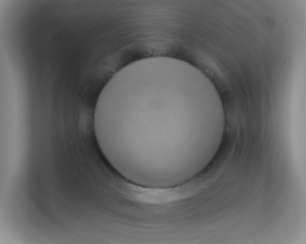 X0000111360034200907311022