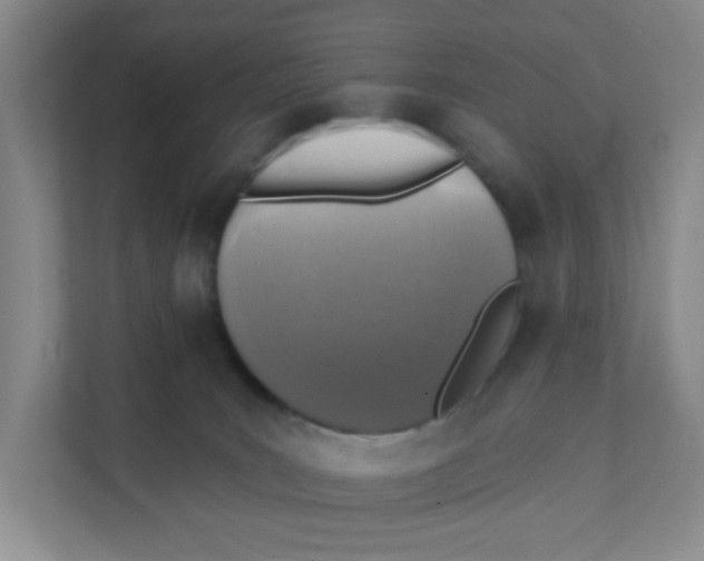 X0000111360035200907311022