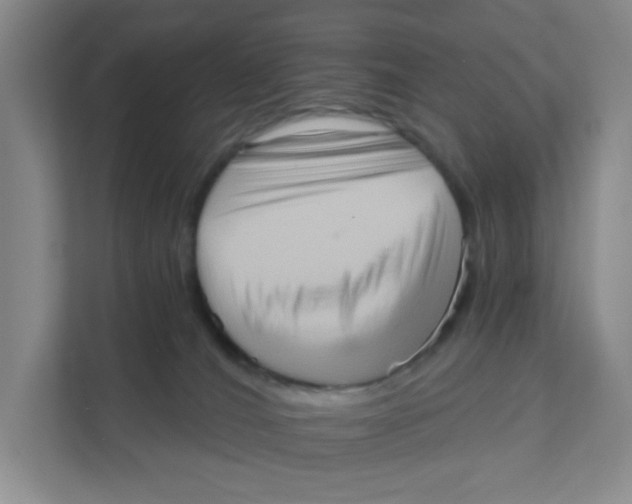 X0000111360036200907311022