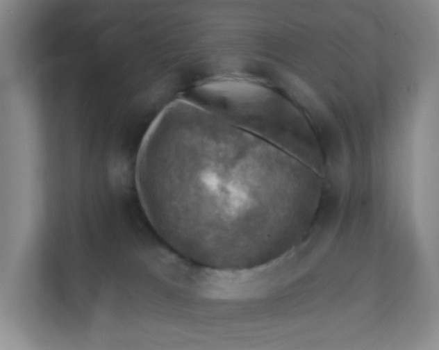 X0000111360037200907311022