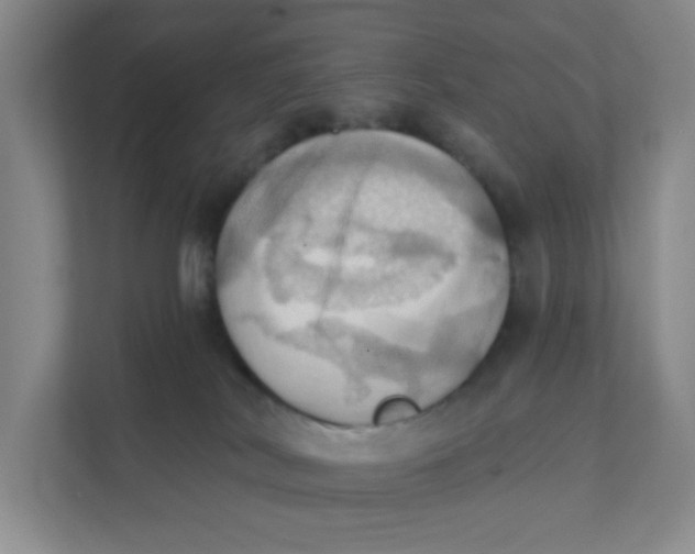 X0000111360038200907311022