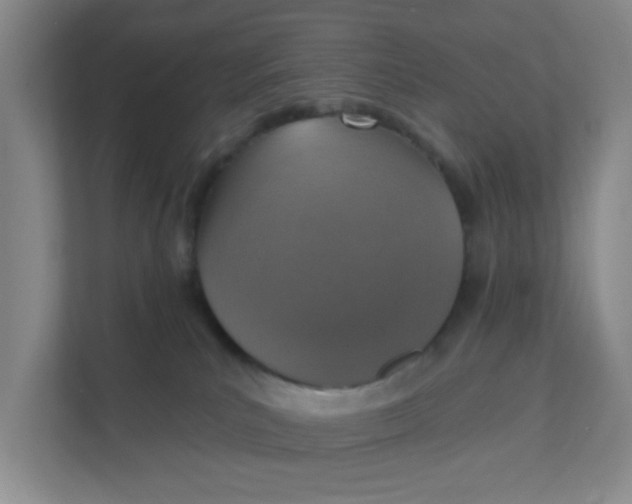 X0000111360039200907311022