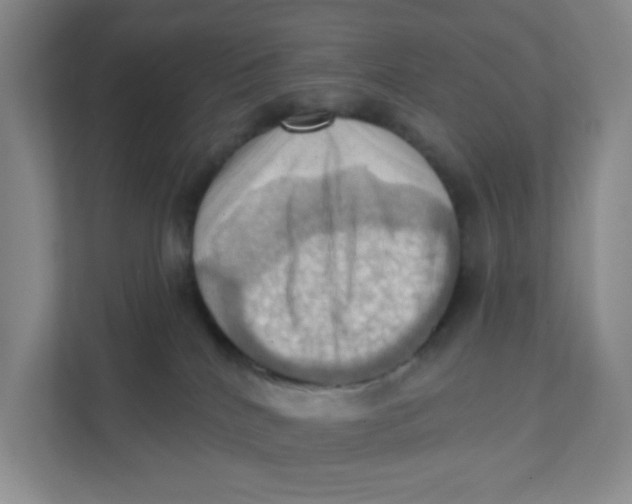 X0000111360040200907311022