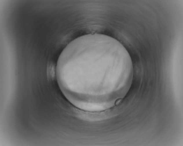 X0000111360042200907311022