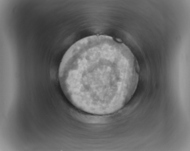 X0000111360044200907311022