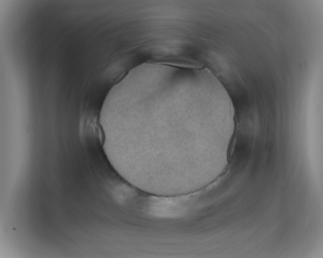 X0000111360045200907311022