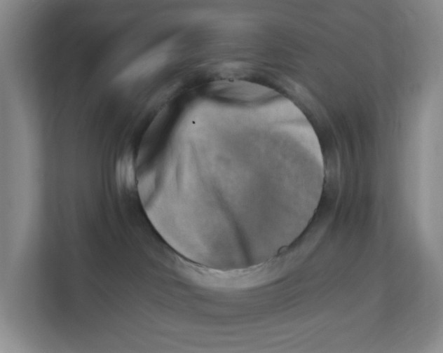 X0000111360046200907311022