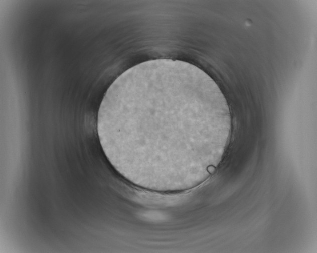 X0000111360048200907311022