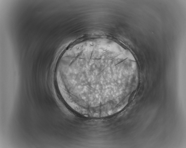 X0000111360049200907311021