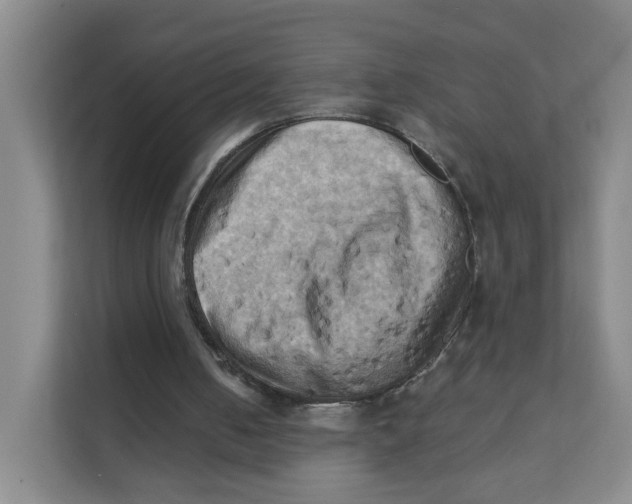 X0000111360050200907311021