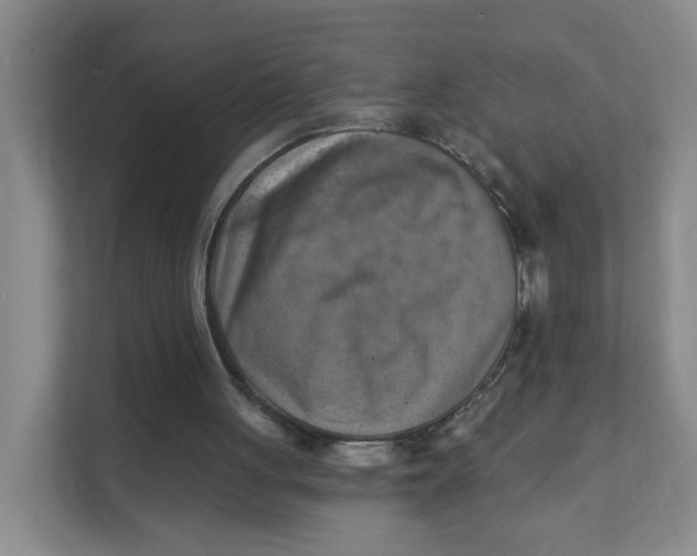 X0000111360051200907311021