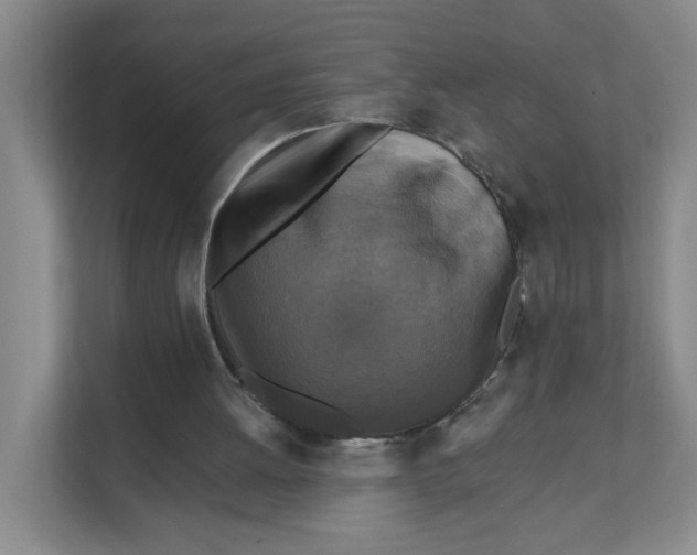 X0000111360052200907311021