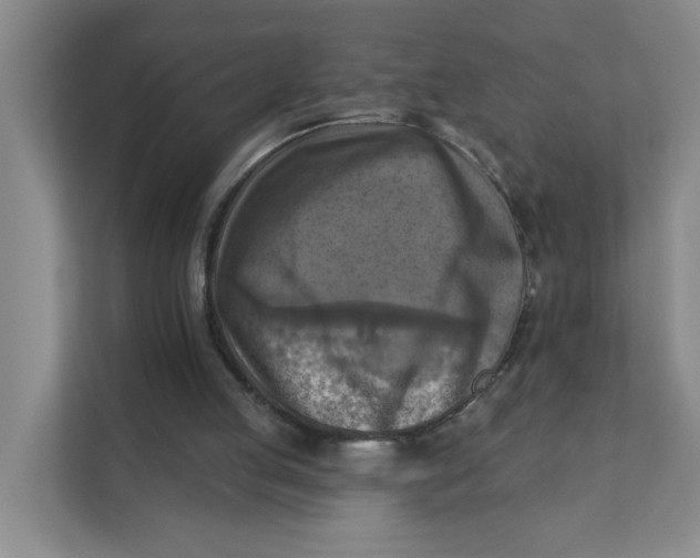 X0000111360053200907311021