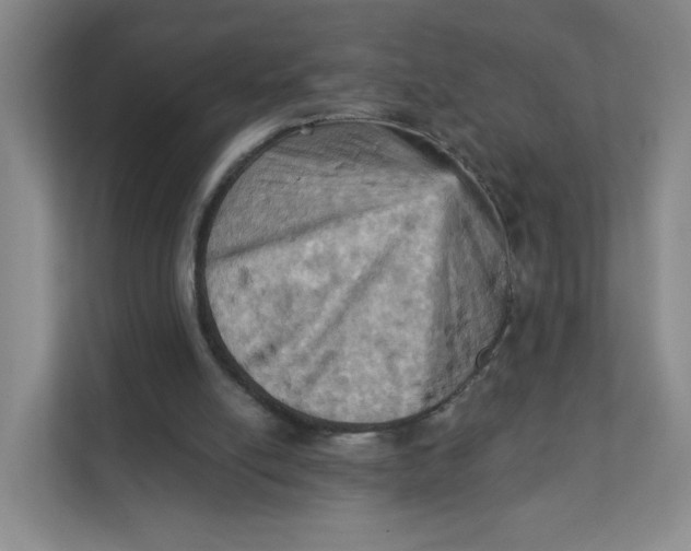 X0000111360054200907311021