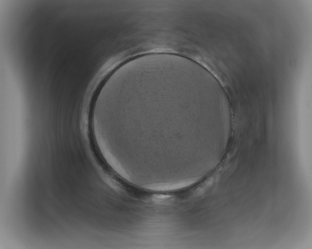 X0000111360055200907311021