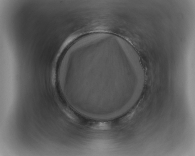 X0000111360056200907311021