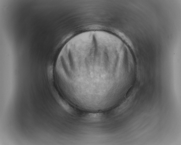 X0000111360057200907311021