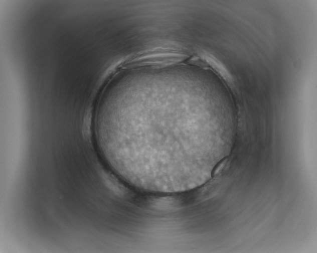 X0000111360058200907311021