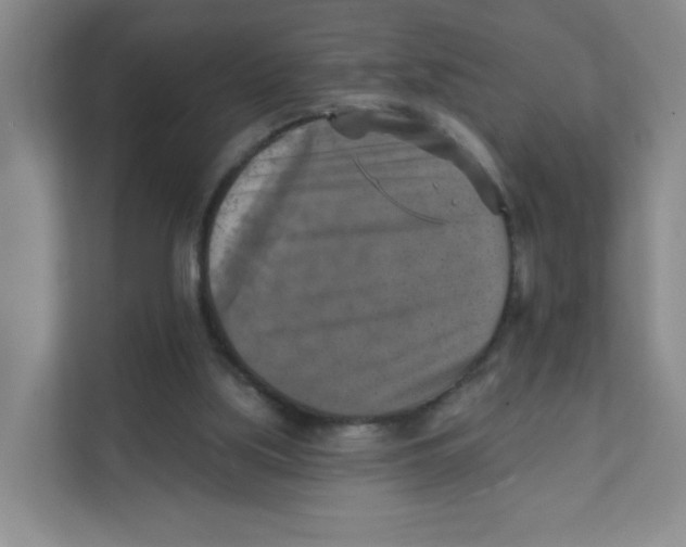 X0000111360059200907311021