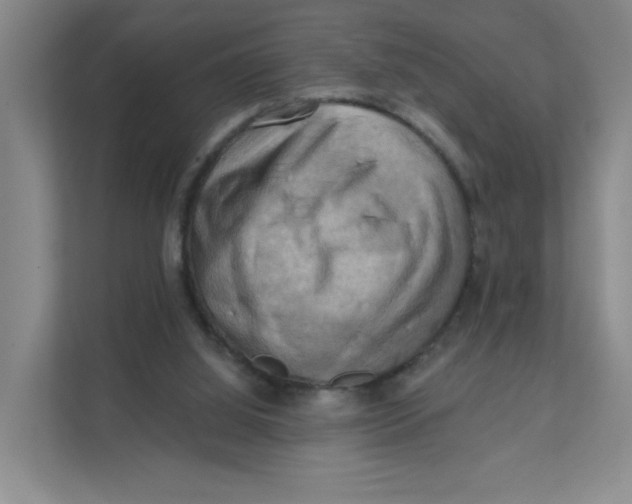 X0000111360060200907311021