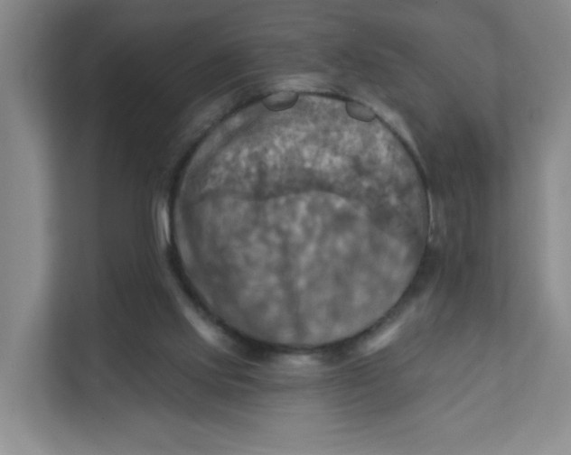 X0000111360061200907311021