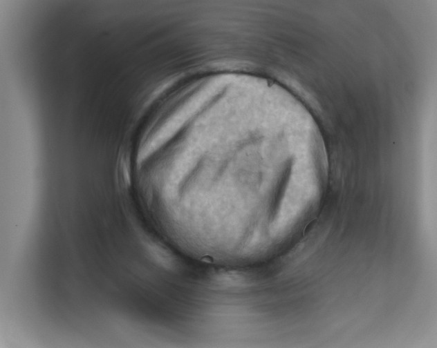 X0000111360062200907311021