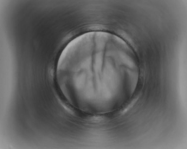 X0000111360063200907311021