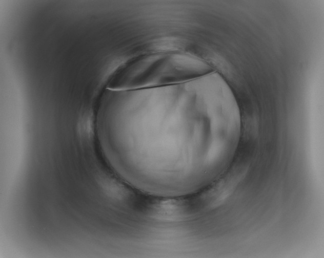 X0000111360064200907311021