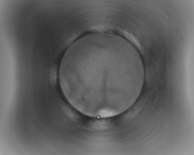 X0000111360065200907311021