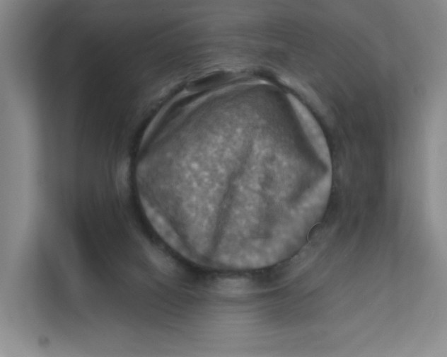 X0000111360066200907311021