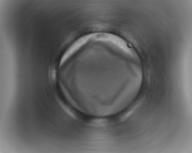 X0000111360067200907311021