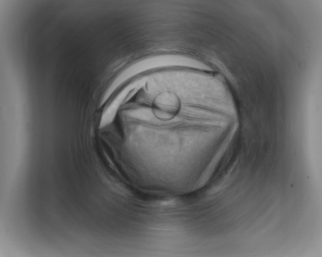 X0000111360068200907311021