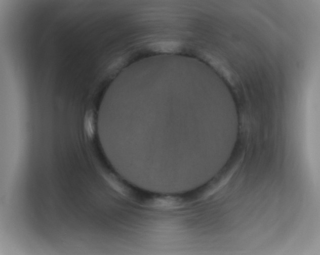 X0000111360069200907311021